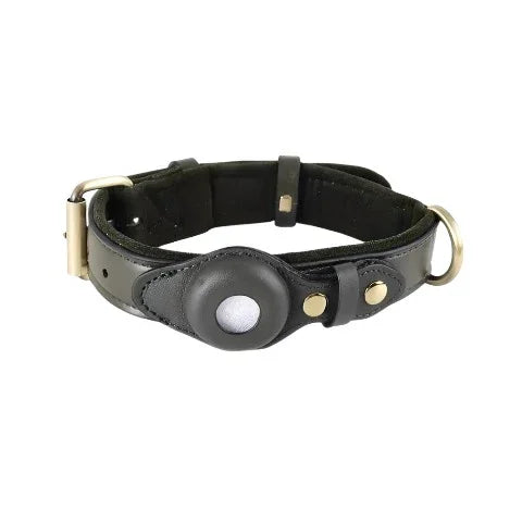 Collar Aura en color Verde Bosque – estilo premium y AirTag integrado para perros grandes