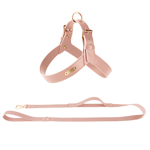 Harness Aura Cuero Noble