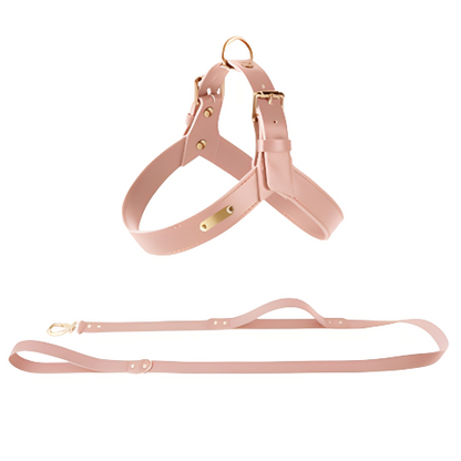 Harness Aura Cuero Noble