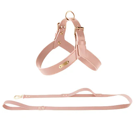 Harness Aura Cuero Noble - Arnés Cristal