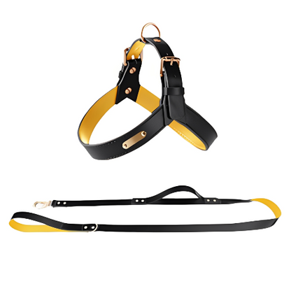 Harness Aura Cuero Noble