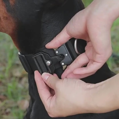 Collar GP Premium – Negro Tactico